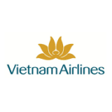 vn-airlines